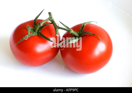 Tomates mûries sur vigne sur un fond blanc. Banque D'Images