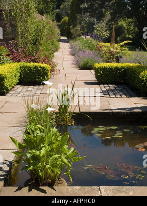 NESS Botanic Gardens et le chemin de l'étang avec Calla Lily dans Cheshire England UK Grande-bretagne Neston Banque D'Images