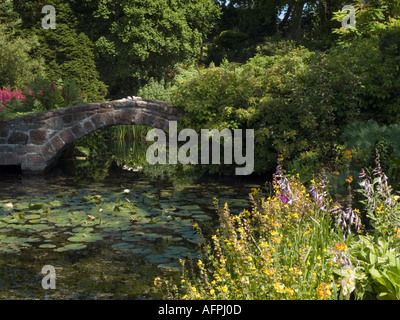 NESS Botanic Gardens Étang et pont de jardin en été Cheshire England UK Grande-bretagne Neston Banque D'Images