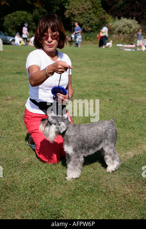 Madame propriétaire montrant sa 2ème place miniature Schnauzer (Canis lupus familiaris) à l'exposition de chiens de village en plein air Banque D'Images