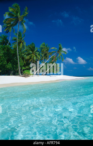 Tropical Beach Kuda Bandos atoll de Male Sud Maldives Banque D'Images