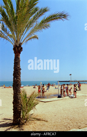 La Platja de la Barceloneta Beach dans le centre de Barcelone, Espagne, est un lieu de rencontre populaire pour les Barcelonais et les touristes. Banque D'Images