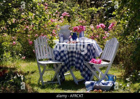 Chaises blanches à côté de tissu bleu et blanc vérifié sur le tableau sur la pelouse dans la compensation en été country garden Banque D'Images