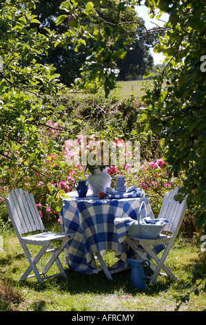 Chaises blanches à côté de tissu bleu et blanc vérifié sur table en été country garden Banque D'Images