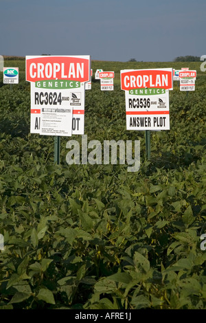 Croplan Genetics Répondre à tracer Banque D'Images