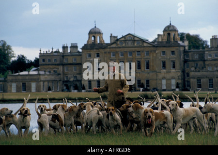 Charles Wheeler Huntsman. Duke of Beaufort Hunt Badminton Estate Gloucestershire Morning Shun exercice à Parkland 1996 1990s Royaume-Uni HOMER SYKES Banque D'Images