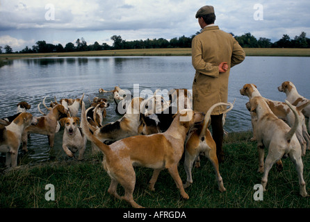 Charles Wheeler Huntsman. Duke of Beaufort Hunt Badminton Estate Gloucestershire Morning Shun exercice à Parkland 1996 1990s Royaume-Uni HOMER SYKES Banque D'Images