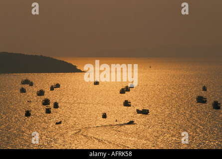 PATTAYA THAÏLANDE COUCHER DE SOLEIL SE ASIE HOMER SYKES Banque D'Images