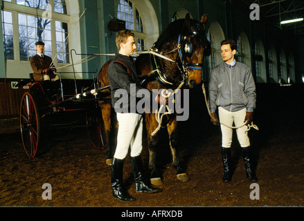 Formation de chevaux dans les Royal Mews, Buckingham Palace, ce cheval sera utilisé pour la conduite en calèche. 1991 années 1990 Londres Royaume-Uni Banque D'Images
