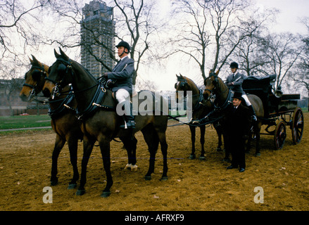 Formation de chevaux pour la calèche royale conduisant très tôt le matin Rotten Row, Hyde Park. Londres 1991 années 1990 Londres UK HOMER SYKES Banque D'Images