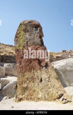 L'île de Lesbos en Paysage Territoire Forêt Pétrifiée Grèce Banque D'Images