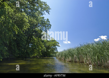 Otter Tail River s'écoule paisiblement entre les zones humides et la forêt Perham Minnesota Banque D'Images