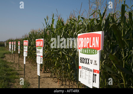 Croplan Genetics Répondre à tracer Banque D'Images