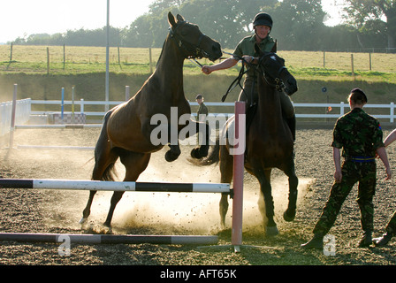 Un Royal Horse Artillery bombardier trooper formation pour pilote un cheval plus de sauts en une école de sable sur un rein Banque D'Images