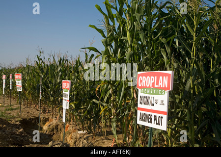 Croplan Genetics Répondre à tracer Banque D'Images