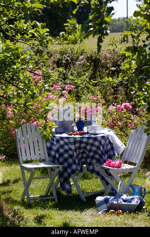 Chaises blanches à côté de tissu bleu et blanc vérifié sur le tableau sur la pelouse dans la compensation en été country garden Banque D'Images