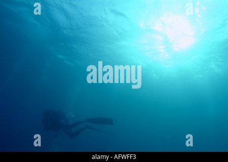 Ari Atoll Maldives Silhouette d'un plongeur dans le bleu piscine Banque D'Images
