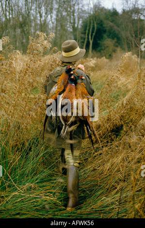 Jeu Bird Shoot 1985 Royaume-Uni. Tireur de faisans cueilleur supérieur à Burley on the Hill, Rutland Leicestershire années 1980 Angleterre HOMER SYKES Banque D'Images