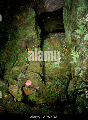 Sancreed Holy Well. Eau de source pure qui a des propriétés médicinales curatives Cornish superstition 1990s UK HOMER SYKESVotive offres, Banque D'Images