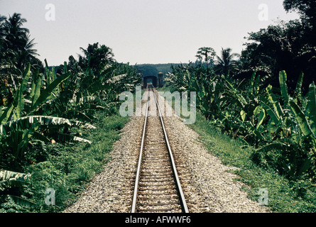 Voyage en Train de la Malaisie. Seule ligne voie traverse la jungle verte. L'Asie du Sud Est. HOMER SYKES Banque D'Images