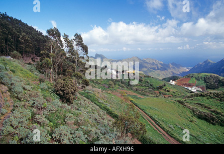 TENERIFE NORD février Regarder sur port de Santa Cruz de Las Mercedes Banque D'Images