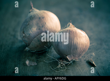 Deux petits oignons pelées sur planche de bois Banque D'Images