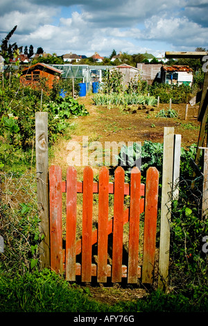 Vieille porte en bois au site allotissement Banque D'Images