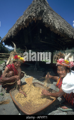 2000 ans les terrasses de riz de Banaue sont accueil de tribu Ifugao couple marié,vu le meulage du riz dans leur village Banque D'Images
