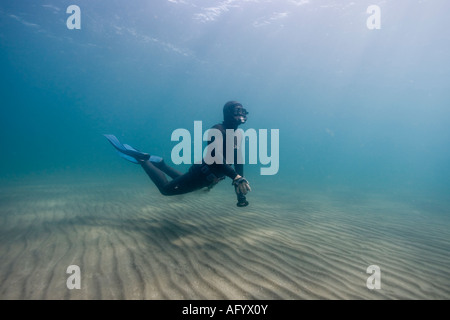 L'Argentine de la Province de Chubut Puerto Piramedes sous-vue de Scuba Diver Banque D'Images