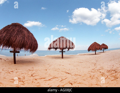 Des parasols de paille sur la plage des Caraïbes, Cozumel, Mexique Banque D'Images