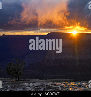 Lever de soleil sur Grand Canyon, Arizona Banque D'Images