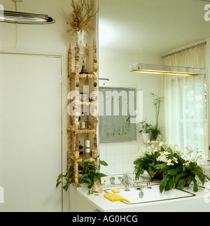 Vertical à côté étagères incrustés de coquille au-dessus du bassin du miroir blanc en 70 Salle de bains Banque D'Images