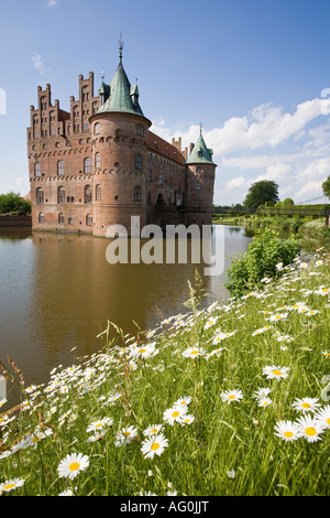 Grumes Daisy Moat le château avec sa tour ronde romantique se trouve dans ses douves entouré d'herbe et les petites marguerites blanches Egeskov Banque D'Images