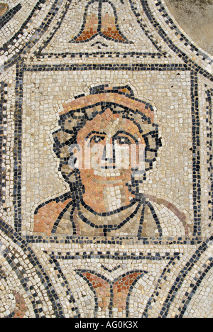 Les travaux d'Hercule mosaïque dans les ruines de la ville romaine de Volubilis, Maroc Banque D'Images