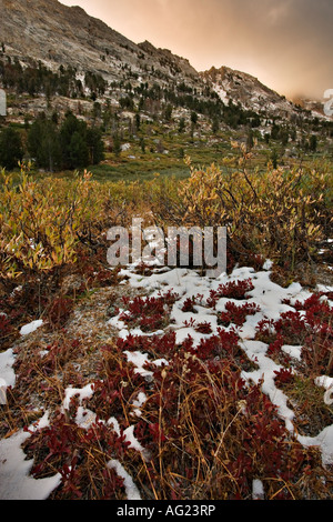 Ruby mountains Nevada Banque D'Images