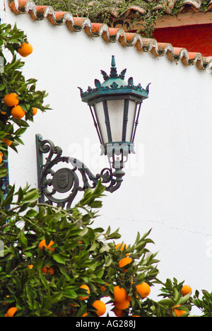 Orangers colorés en Espagne contre le mur avec lampe décorative en fer forgé Banque D'Images