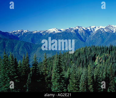 Hurricane Ridge Olympic National Park Washington USA Banque D'Images