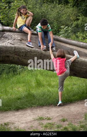 Trois amis (7-9) sur l'escalade arbre tombé Banque D'Images