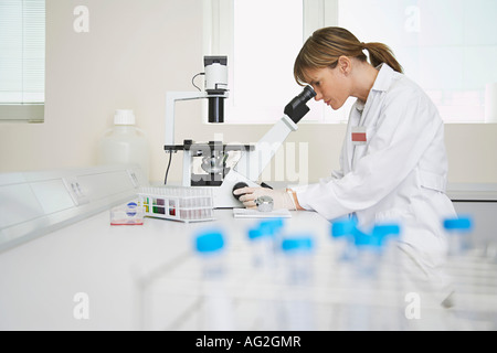 Scientist using microscope in laboratory Banque D'Images