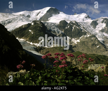 Géographie / voyages, Suisse, Berne, (Berne), l'Oberland Bernois, des paysages, des Alpes, vue de Urner (Sustenpaß Sustenpass) à Gwächtenhorn, Hinter, Mittler et Vorder Tierberg, avec Steingletscher Steinlimigletscher, Additional-Rights-et-Clearance-Info Not-Available Banque D'Images