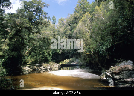 La couleur de l'Oparara tanin les eaux de la rivière et du bassin Oparara Arch Moria Côte ouest de la Nouvelle-Zélande Banque D'Images