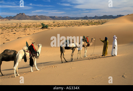 L'Algérie Djanet hommes de tribu touareg caravane de chameaux avec marche Banque D'Images