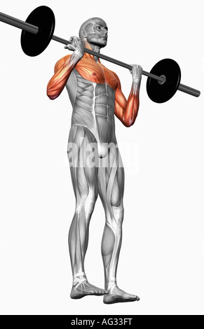 Biceps curl (partie 1 de 2) Banque D'Images