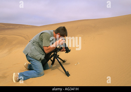 L'Algérie Djanet photographier un homme Peringuey adder ou bitis peringueyi sidewinder. Photographe Frans Lemmens. Banque D'Images