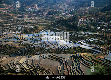 Paysage de rizières en terrasses remplis d'eau dans la montagne, Longsheng, Province du Guangxi, Chine. Banque D'Images