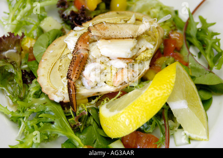 Anglais frais salade de crabe Banque D'Images