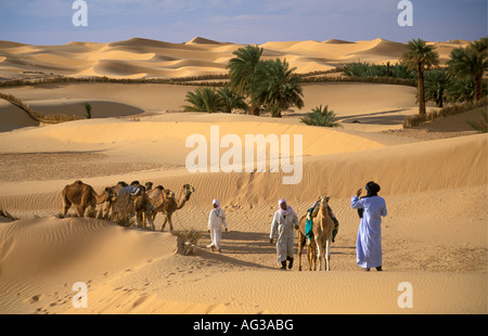 L'Algérie, près de Timimoun Bédouins marcher avec des chameaux dans le Sahara Banque D'Images