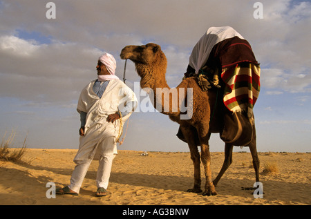 L'Algérie, près de Touggourt homme bédouin avec étui pour chameau pendant le mariage mariée Banque D'Images