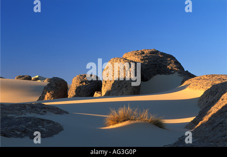 L'Algérie Tamanrasset Bush entre sable et rochers Banque D'Images