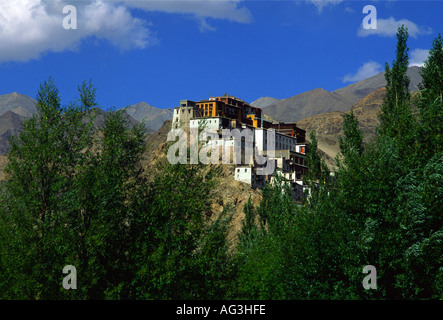 Thicksey Gompa près de Leh comme vu à partir de la vallée de l'Indus, Ladakh, Inde du nord Banque D'Images
